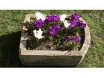 Old Stone Pump Trough