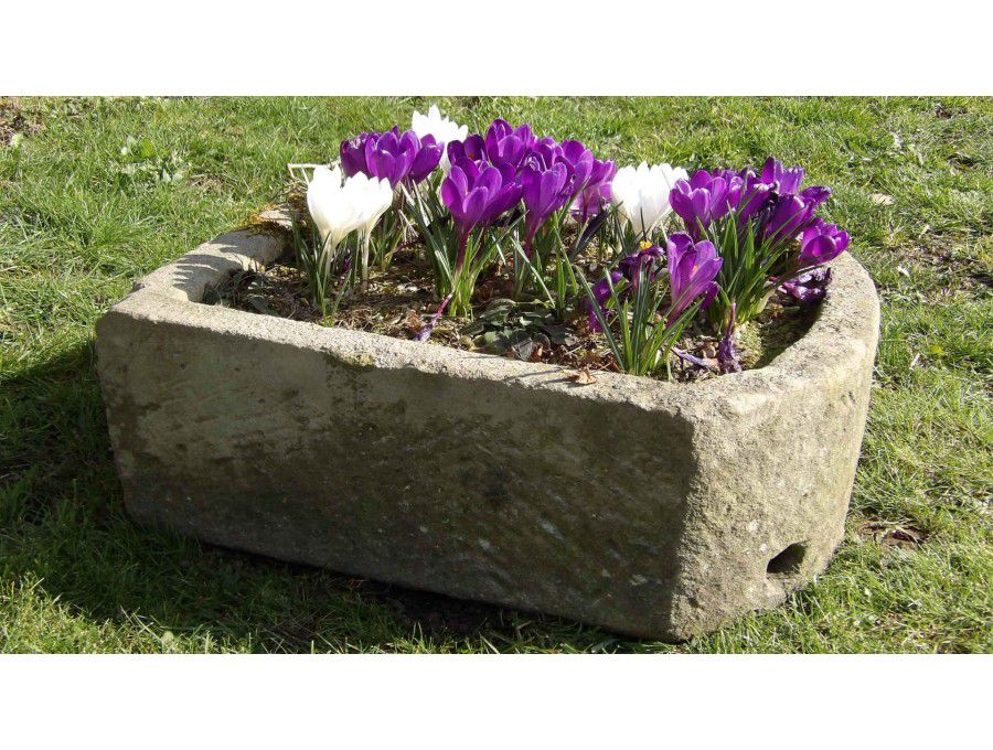 Old Stone Pump Trough