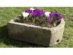 Old Stone Pump Trough