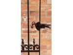 A Wrought Iron Garden Gate