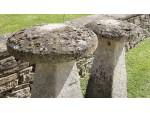 Two Tall Limestone Staddle stones