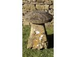 Old Limestone Staddle stone