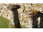 Two Old Staddle Stones