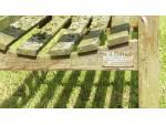 Weathered Teak Garden Bench