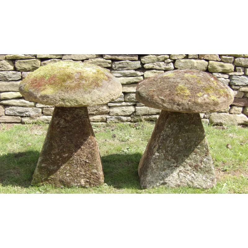 Pair of Old Staddle Stones