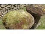 Pair of Old Staddle Stones