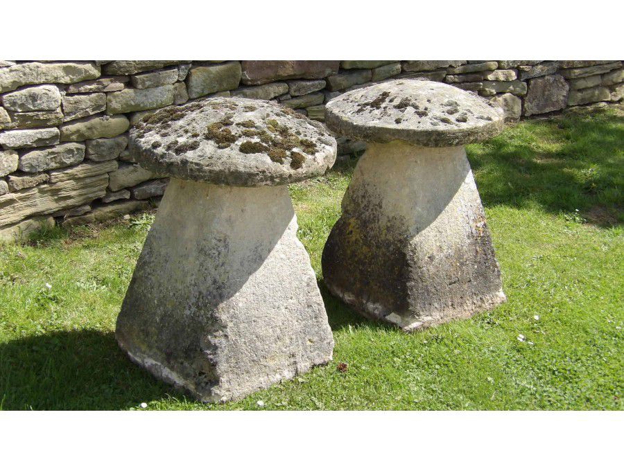 The Limestone Staddle Stones