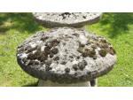 The Limestone Staddle Stones