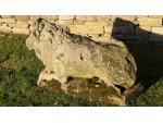 Antique Stone Lion
