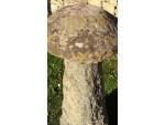 Antique Staddle Stone