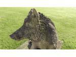 Weathered Statue of a Boar