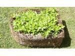 An Antique Sandstone Trough