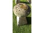 An Old Limestone Staddlestone