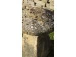 Antique Cotswold Stone Staddle Stone