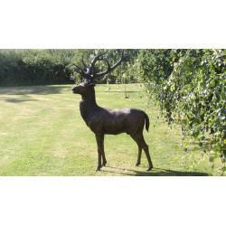 Large Bronze Stag