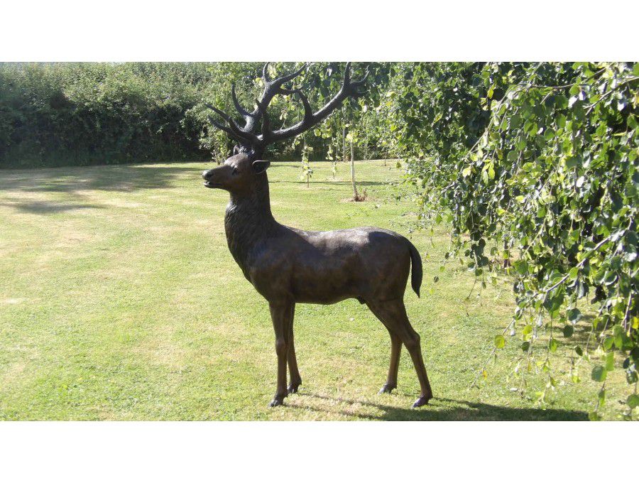 Large Bronze Stag