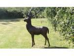 Large Bronze Stag