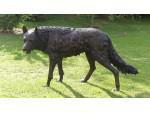 Bronze Wolf