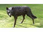 Bronze Wolf