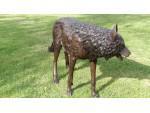 Bronze Wolf