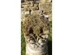 Weathered Garden Sundial