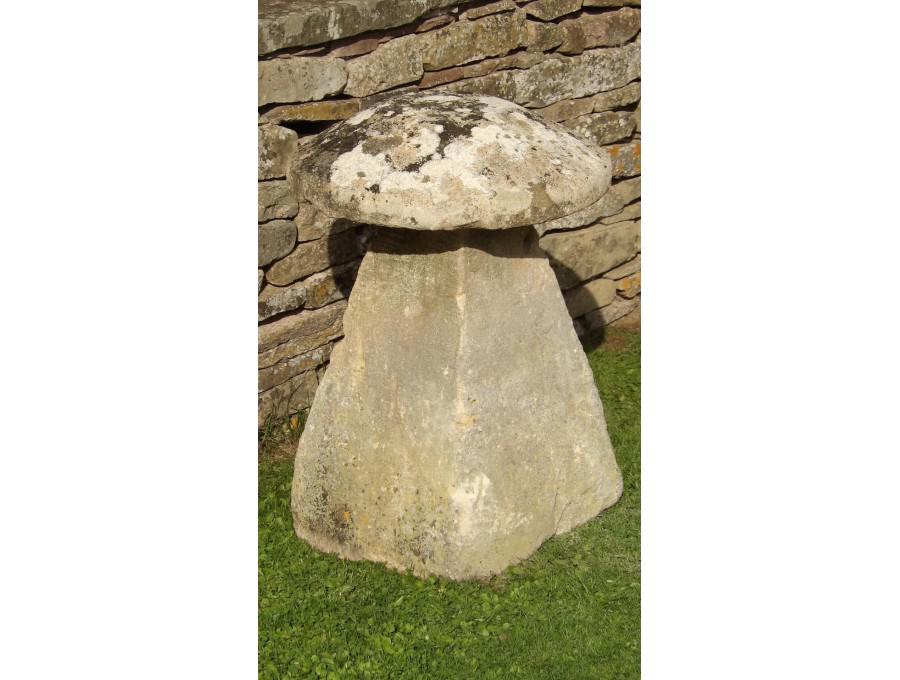 Antique Limestone Staddlestone