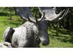 Large Bronze Statue of a Moose