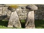 Two Similar Antique Staddlestones