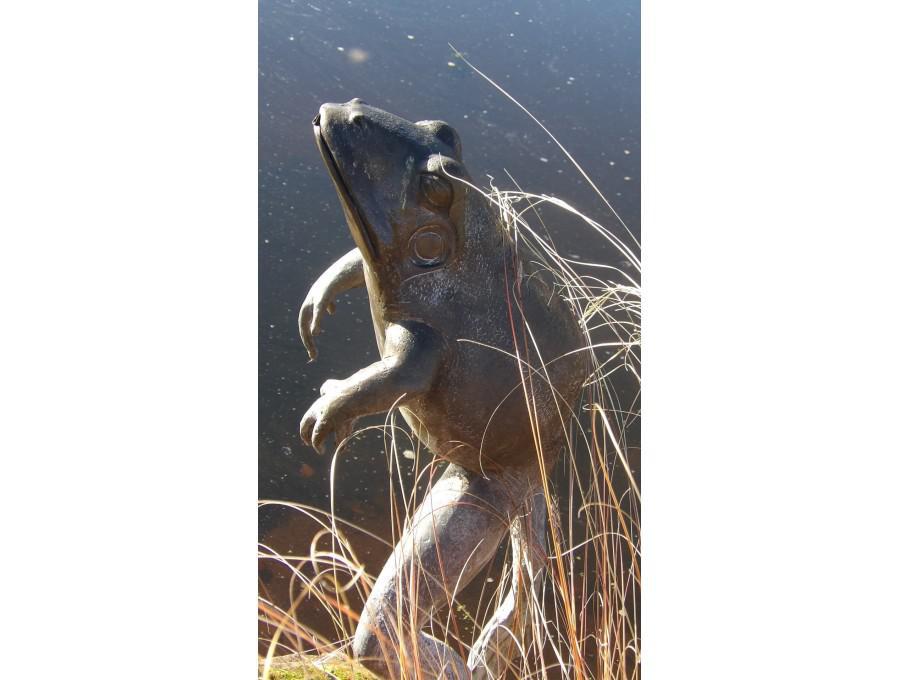 Bronze Frog Fountain Bronze Fountains Holloways Garden Ornaments