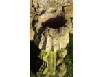 Close up of antique urn 