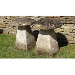 Pair of Antique Staddle Stones