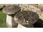Pair of Antique Staddle Stones
