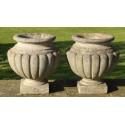 A Pair of Weathered Garden Urns