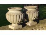 A Pair of Weathered Garden Urns