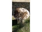 Limestone Staddle Stone