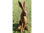 Christine Baxter - Sitting Hare
