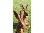 Christine Baxter - Alert Hare