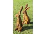 Christine Baxter - Alert Hare