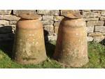 Vintage Rhubarb Forcers