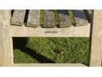 Weathered Teak Bench