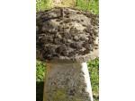 Antique Staddle Stone
