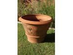 Weathered Whichford Pot