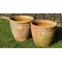 Hand Thrown Terracotta Pots