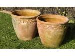 Hand Thrown Terracotta Pots