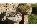 Pair Antique Staddle Stones