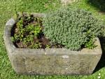 Antique Stone Trough