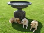 Large Antique Cast-Iron Urn