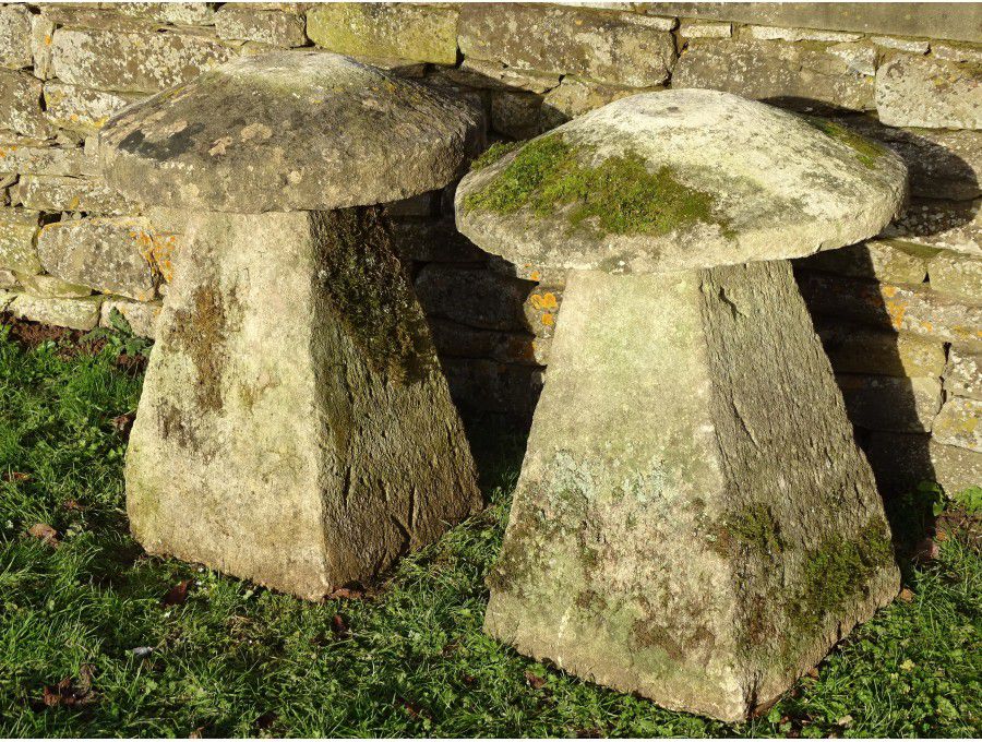 Antique Limestone Staddlestones