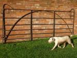 Wrought Iron Estate GAte