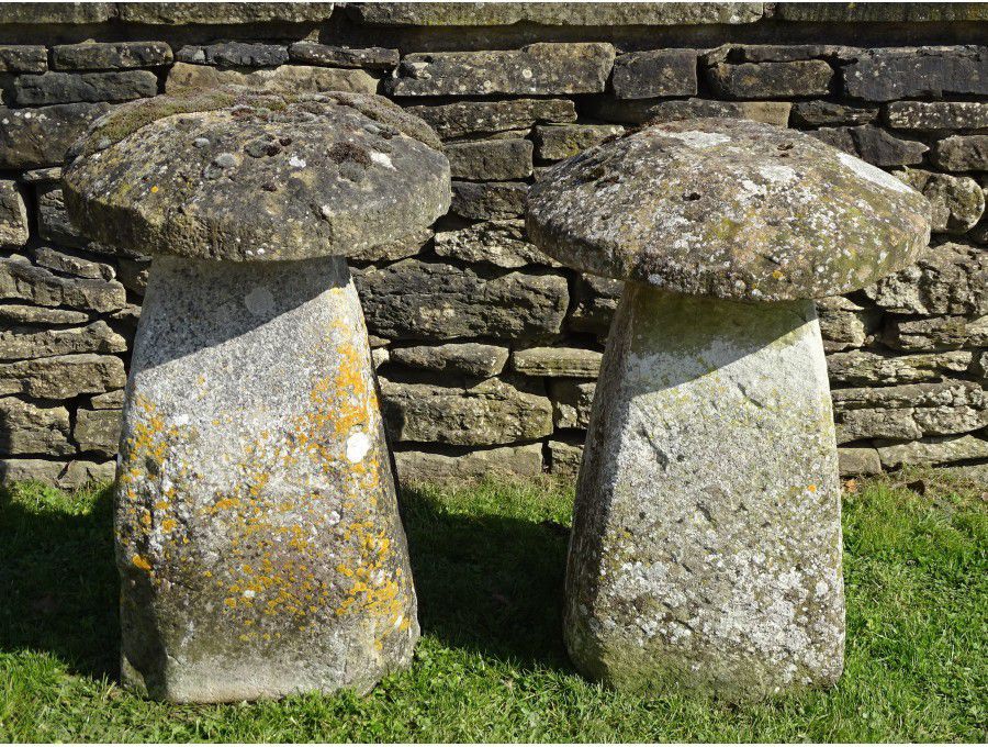 Antique Limestone Staddlestones